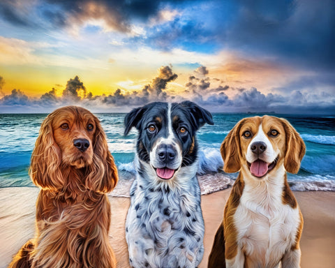 3 Pets / Beach / Digital Design